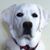 Martine Oliver Warzecha's profile image