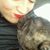 Joie Holcombe's profile image