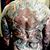 Al Standridge's profile image