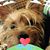 Brenda Sothoron's profile image