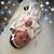 Candace Joyce Stobbe's profile image
