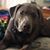 Jill M. Torrey-Smith's profile image