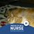 Natasha Smithies's profile image