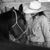 Stacey Boyd's profile image