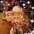 Kim Bravo's profile image