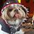 Liz Vermeulen's profile image