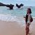 Felicia Hsu's profile image