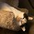 Brian James Kirby's profile image