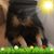 Julia Haslup's profile image