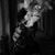 Davi Ramadhan's profile image