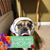 Tere Elizabeth Mercado's profile image