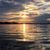 Sherri Niemiec's profile image