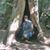 Theresa Buckley Vadnais's profile image