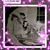 Petra Carrillo's profile image