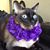 Glenn Meezer's profile image