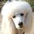 Dawn Eaker's profile image