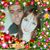 Yajaira Arlen Gutierrez's profile image