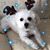 Kim Donlon Fitch's profile image