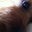 Edna Chua's profile image