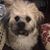 Lucinda Ralph Raymond's profile image