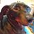 Mary Wright's profile image