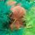 Jennifer Lynn Buckmaster's profile image