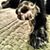 Betty Mosher's profile image