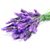 Debra Kajpust's profile image