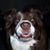 Billy Turbitt's profile image