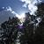 Ciro Leal A's profile image