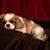 Charlotte Wagster's profile image