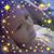 Nichole Michelle Young's profile image