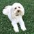 Lynn Bynum Rankin's profile image