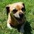 Terri Blair's profile image