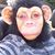 Dean Richards's profile image
