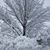 Mary Ann Dietz's profile image