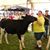 Dawn Van Hecke's profile image