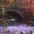Nancy C. Friess's profile image