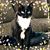 Cindy Klassen Liles's profile image