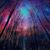 Nel Gener's profile image