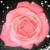 Diane Liebal's profile image