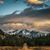 Patricia Alfonzo's profile image