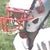 Jason Ransom's profile image