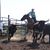 Shayla McClung's profile image