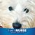 Suzanne Godfrey Ziemke's profile image