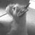 Brenda Caplinger's profile image
