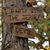 Brian Calpin's profile image