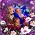 Donna Lawrence's profile image