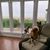 Rebecca Graham-Kidd's profile image