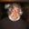Jerry Plak's profile image